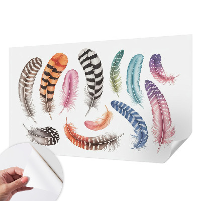 3D fototapetas sienoms su pastelinės spalvos plunksnų raštu