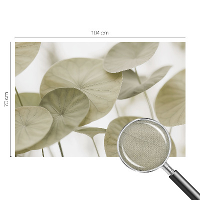 Tapetai Natūralus elegancija