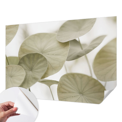 Tapetai Natūralus elegancija