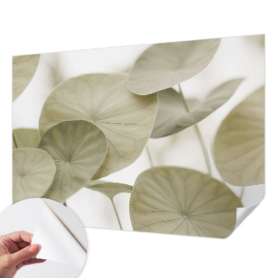 Tapetai Natūralus elegancija