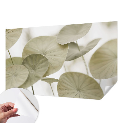 Tapetai Natūralus elegancija