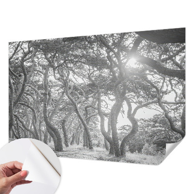 Fototapetai Atmosferos rizikos slovas