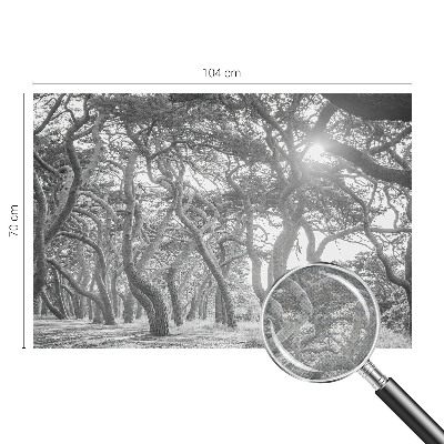 Fototapetai Atmosferos rizikos slovas