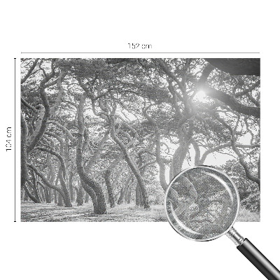 Fototapetai Atmosferos rizikos slovas