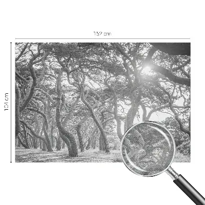 Fototapetai su atmosferos rizikos žodžiu