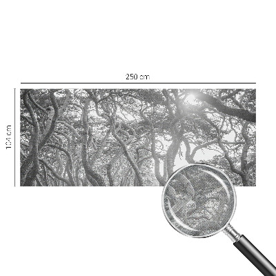 Fototapetai Atmosferos rizikos slovas