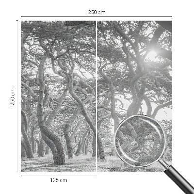 Fototapetai Atmosferos rizikos slovas