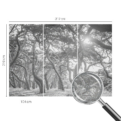 Fototapetai Atmosferos rizikos slovas