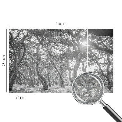 Fototapetai Atmosferos rizikos slovas