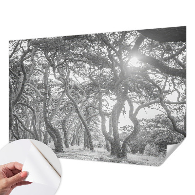 Fototapetai Atmosferos rizikos slovas