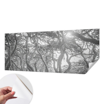 Fototapetai su atmosferos rizikos žodžiu