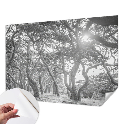 Fototapetai Atmosferos rizikos slovas