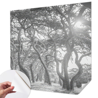 Fototapetai su atmosferos rizikos žodžiu
