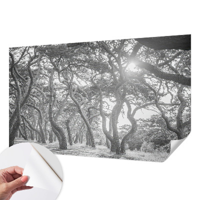 Fototapetai Atmosferos rizikos slovas