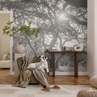 Fototapetai su atmosferos rizikos žodžiu