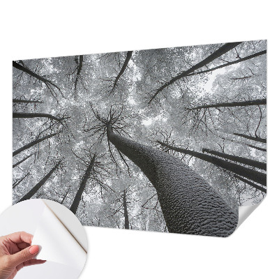 3D fototapetas sienoms su žiemos šalies motyvu
