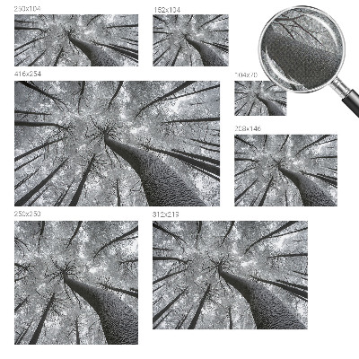 3D fototapetas sienoms su žiemos šalies motyvu