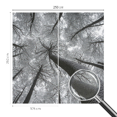 3D fototapetas sienoms su žiemos šalies motyvu