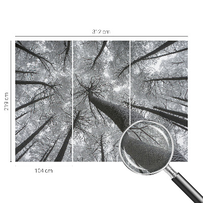 3D fototapetas sienoms Žiemos šalis