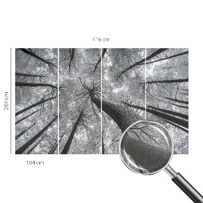 3D fototapetas sienoms su žiemos šalies motyvu