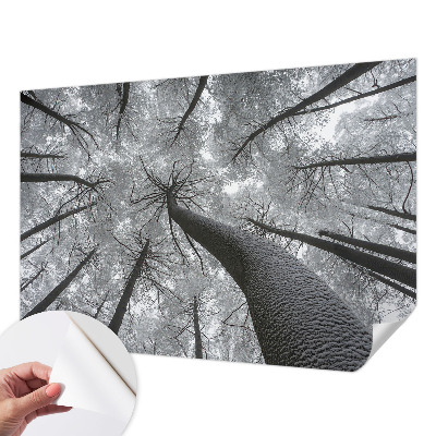 3D fototapetas sienoms su žiemos šalies motyvu