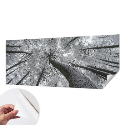 3D fototapetas sienoms su žiemos šalies motyvu