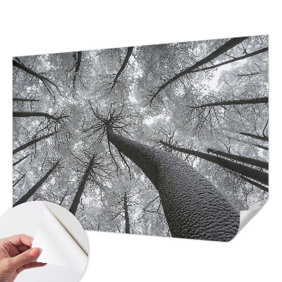 3D fototapetas sienoms su žiemos šalies motyvu