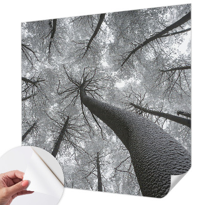 3D fototapetas sienoms su žiemos šalies motyvu