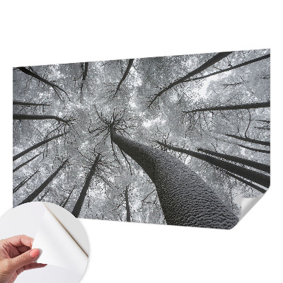 3D fototapetas sienoms su žiemos šalies motyvu