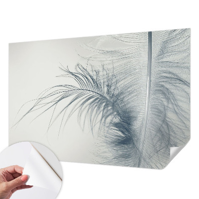 Fototapetas vaiko kambariui su subtiliu plunksnų raštu