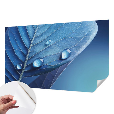 Fototapetai su mėlynu peiliu