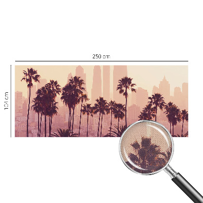 3D fototapetas sienoms Vakarų harmonika