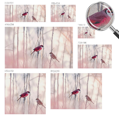 Fototapetas vaikams Fugleparas