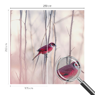 Fototapetas vaikams Fugleparas