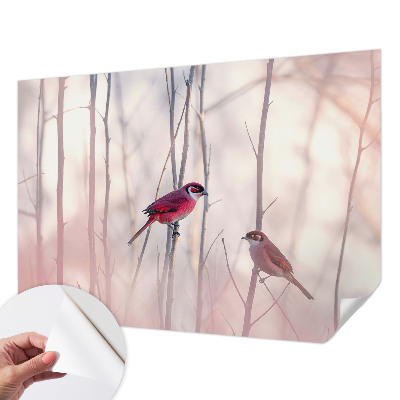 Fototapetas vaikams Fugleparas