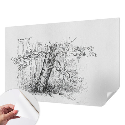 Savaime lipnus fototapetas su ąžuolo medžio raštu