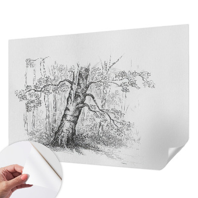 Savaime lipnus fototapetas su ąžuolo medžio raštu