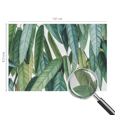 3D fototapetas Natūraliai blyškus