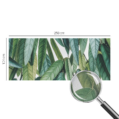 3D fototapetas Natūraliai blyškus