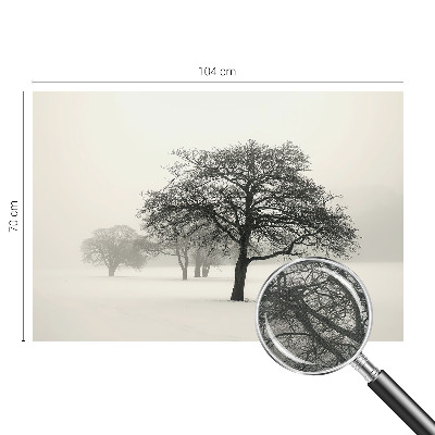 Fototapetas vaikams su žiemos medžių motyvu