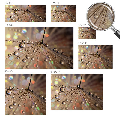 3D fototapetas sienoms Perledråber