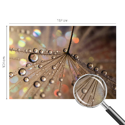 3D fototapetas sienoms Perledråber