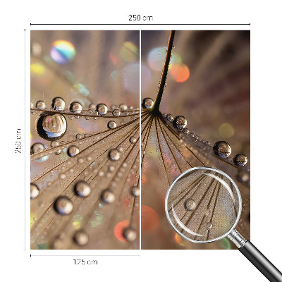 3D fototapetas sienoms Perledråber