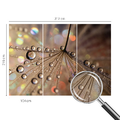 3D fototapetas sienoms Perledråber