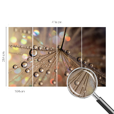 3D fototapetas sienoms Perledråber