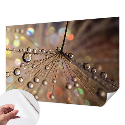 3D fototapetas sienoms Perledråber