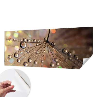 3D fototapetas sienoms Perledråber