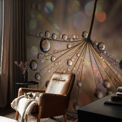 3D fototapetas sienoms Perledråber