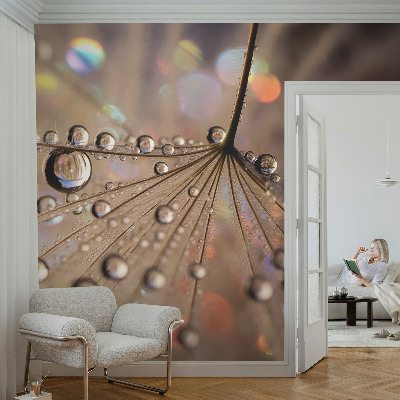 3D fototapetas sienoms su Perledråber dizainu