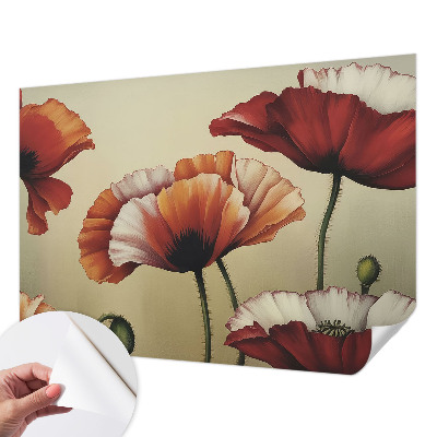 Fototapetai su aguonijų piešiniu